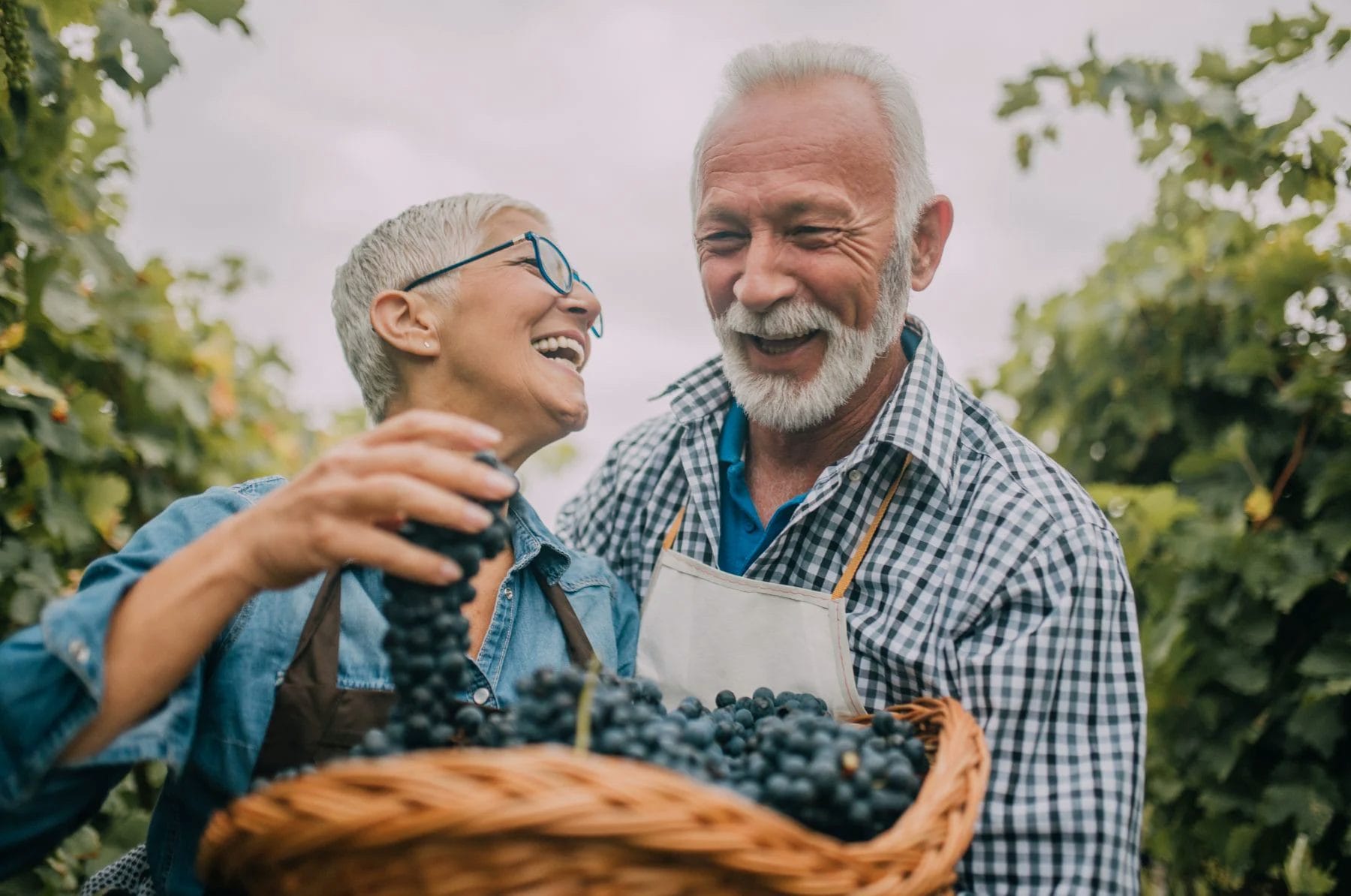 mature couple holding a fruit basket